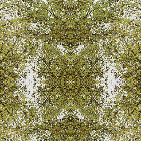 Galerie Wallpaper Product code: 116-2R - Oasis Wallpaper Collection -   