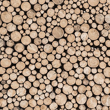 Galerie Wallcoverings Product Code G45275 - Global Fusion Wallpaper Collection -   