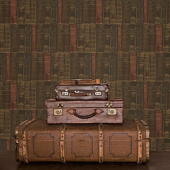 Galerie Wallcoverings Product Code G56132 - Memories 2 Wallpaper Collection - Brown Colours -  