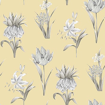 Galerie Wallcoverings Product Code PA34235 - Paradise Wallpaper Collection -   